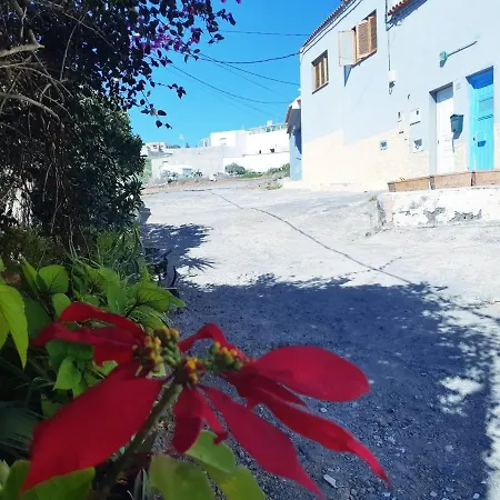 Hostel Surf House La Machacona San Isidro (Tenerife)